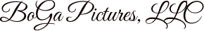 Logo of Viva Pictures, Inc. in elegant script.